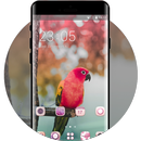 Theme for colorful lovely birds parrot wallpaper APK