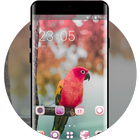Theme for colorful lovely birds parrot wallpaper ícone