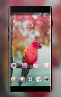 Theme for colorful lovely birds parrot wallpaper Affiche