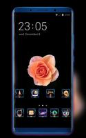 Theme for beautiful champagne rose wallpaper الملصق