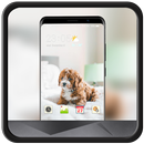 Theme for furry bed cute pet wallpaper APK