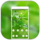 Theme for nature leaf water drop wallpaper APK