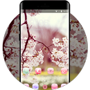 spring theme for Moto G5 blossom branch wallpaper APK