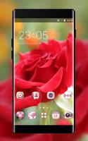 Emotion theme wallpaper rose flower petals bud plakat