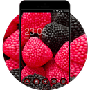 Fruit Black & Red Theme: Raspberry HD Wallpaper APK