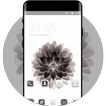Black lotus theme for Nokia 7 Plus wallpaper