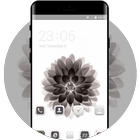 Black lotus theme for Nokia 7 Plus wallpaper ícone