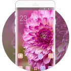 Theme for flower xiaomi mi a1 wallpaper HD icône