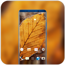 Theme for HTC Desire 826 frost leaf wallpaper APK