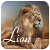 Lion APK