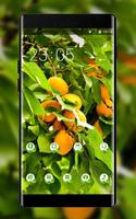 Poster Nature theme wallpaper apricot green orange fruit