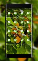 Nature theme wallpaper apricot green orange fruit ภาพหน้าจอ 1