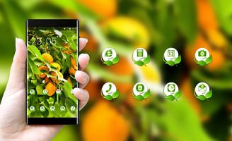 Nature theme wallpaper apricot green orange fruit ภาพหน้าจอ 3