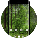 Nature theme for LG Q6 forest trees wallpaper APK