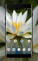 Nature theme wallpaper lotus flower water petals ポスター