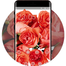 Roses flower theme bouquet wallpaper aplikacja
