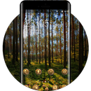 Nature theme tree light shadow forest wallpaper APK