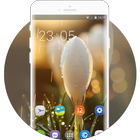 Theme for white flower water drop wallpaper icono