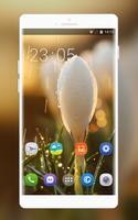 Theme for white flower water drop wallpaper 海报