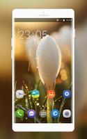 Theme for white flower water drop wallpaper 포스터