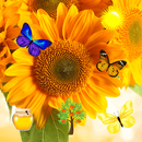 عباد الشمس APK