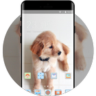 Cute puppy theme love pet animal wallpaper ไอคอน