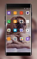 Theme for puppy pet oppo r17 wallpaper screenshot 1