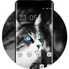 Pet animal theme wallpaper cat eyes blue black simgesi