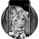 Lion king theme pet animal wallpaper HD APK