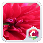 Red Pure Flowers Theme: Pretty Love Wallpaper HD icono