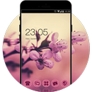 Sakura Theme: Pink Cherry blossom Flower Wallpaper APK