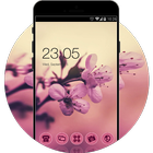 Sakura Theme: Pink Cherry blossom Flower Wallpaper icône