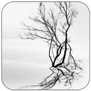 Winter White APK