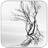 Winter White APK