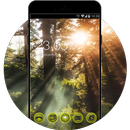 Wild Forest Sunset Theme: Green Nature Wallpaper APK