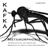 The Metamorphosis audio/text Affiche