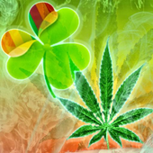 GO Launcher Ganja Weed Theme icon GO Launcher Ganja Weed Theme icon