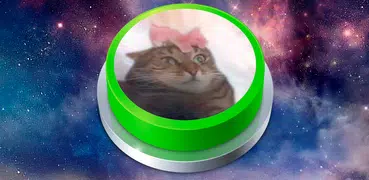 Cat Transcendence Button