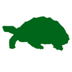 The Tortoise Table