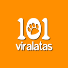 101 Viralatas icône