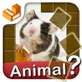 Who am I? -animal guess trivia
