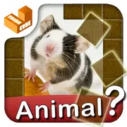 Who am I? -animal guess trivia