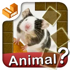 Who am I? -animal guess trivia APK download