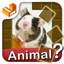 Who am I? -animal guess trivia APK