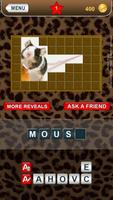 Who am I? -animal guess trivia poster