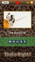 Who am I? -animal guess trivia screenshot 2