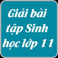 Poster Giải bài tập sinh học lớp 11