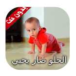 الحلو صار يحبي - طيور بيبي  دون نت