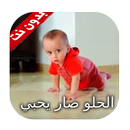 الحلو صار يحبي - طيور بيبي  دون نت APK