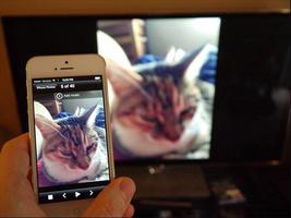 1 Schermata Screen share mirroring